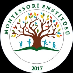 Montessori Enstitüsü